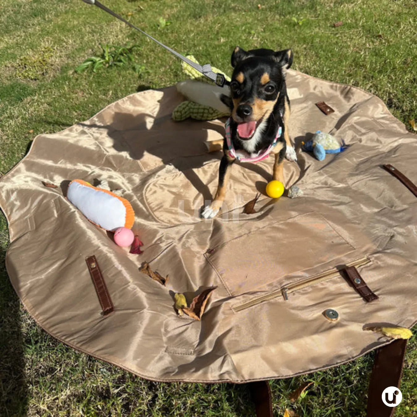 Bolsa de Praia 2 em 1 Impermeável que Vira Manta - TOTED®
